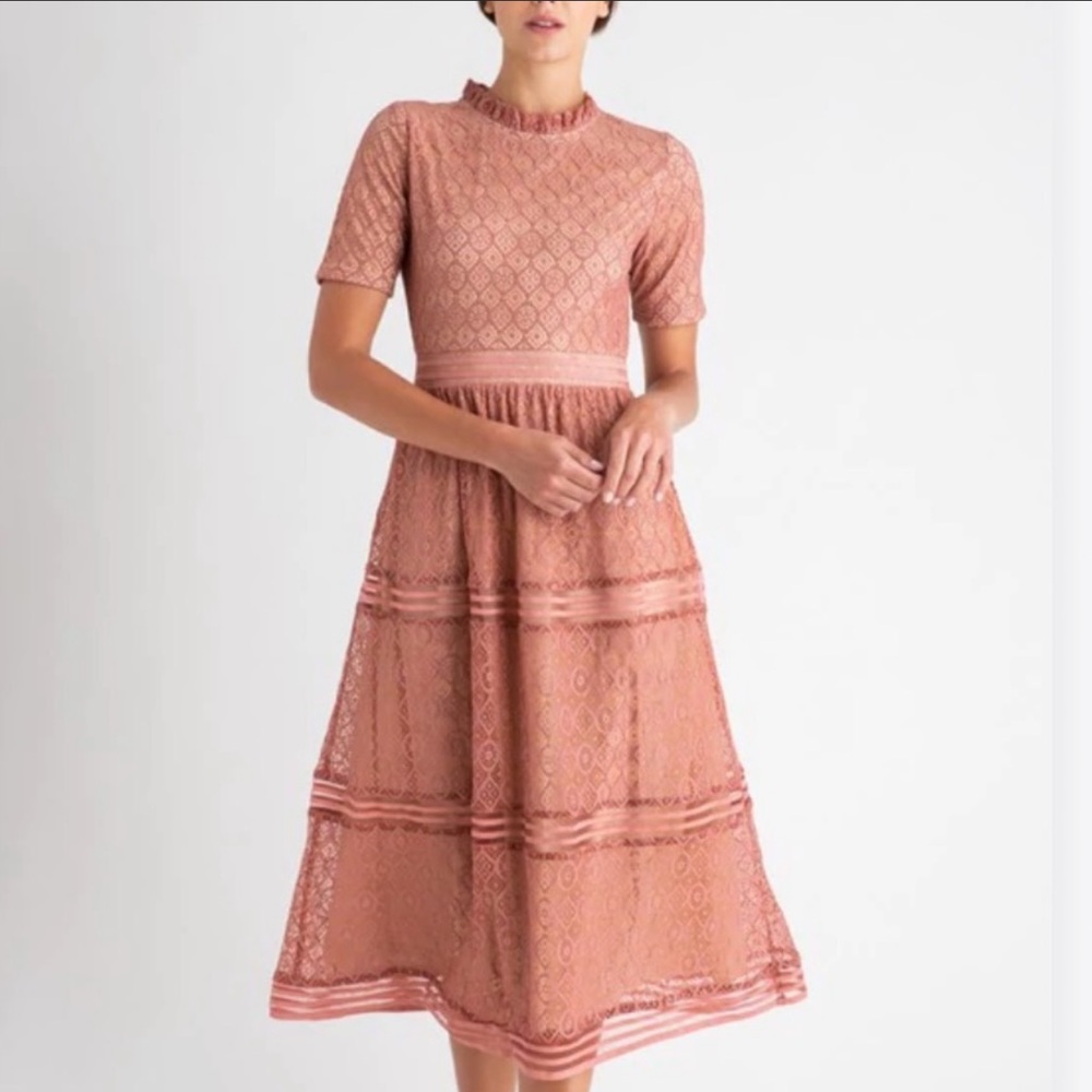 ROOLEE Romantic Beautiful Rose Pink Lace Lined MIDI Length Dress XXXL 3X New Tag